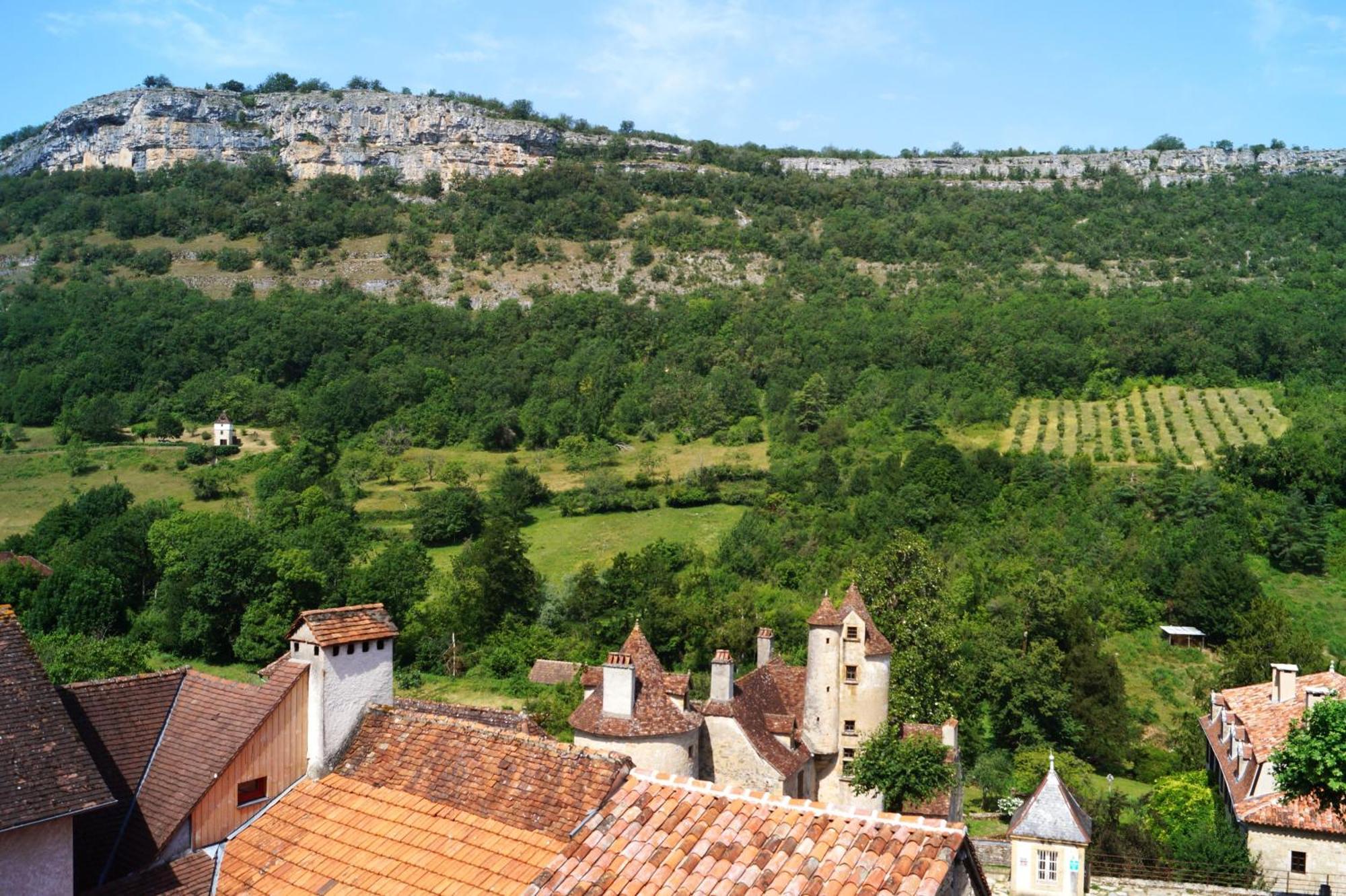 오토얼 Manoir De Laroque Delprat B&B 외부 사진