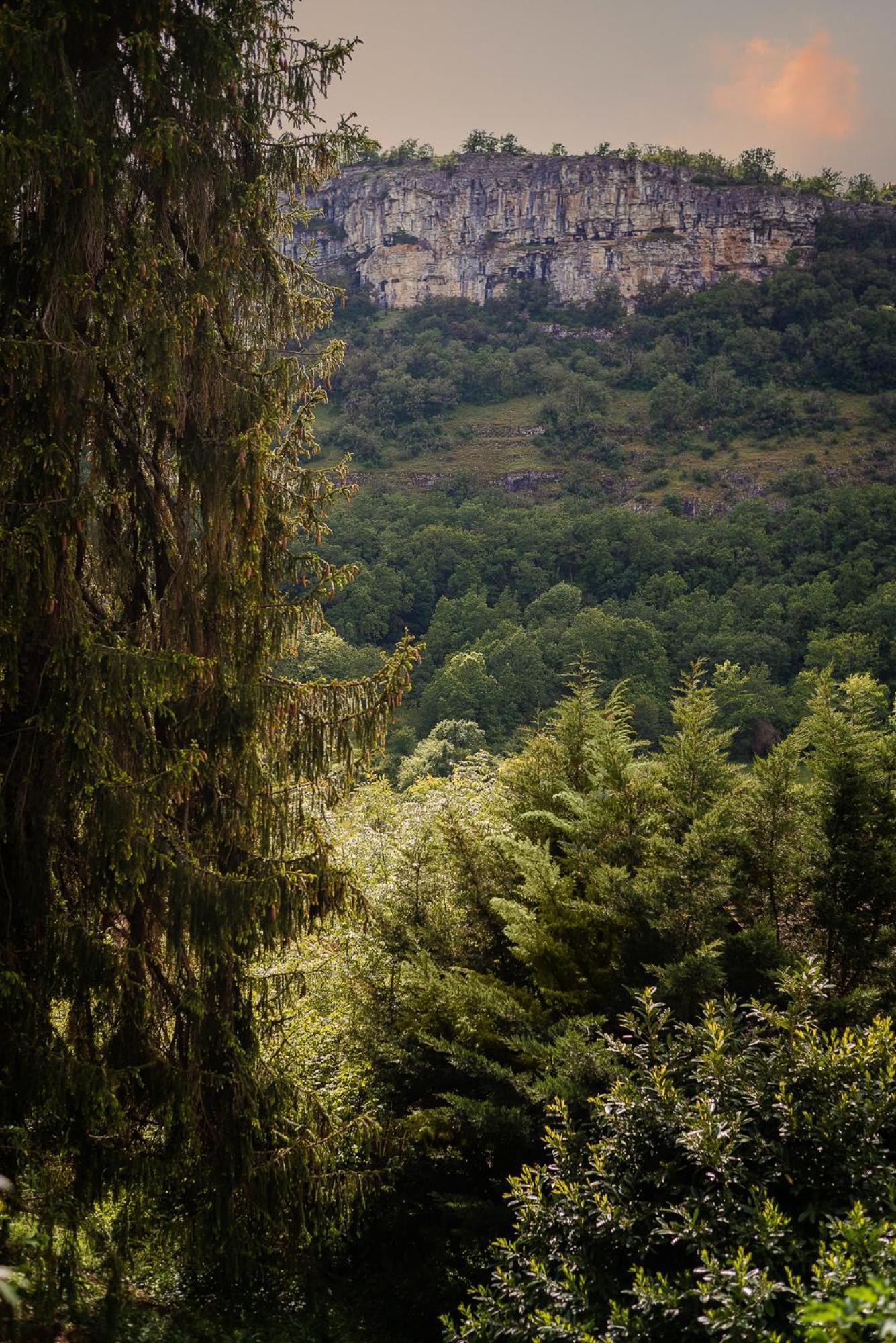 오토얼 Manoir De Laroque Delprat B&B 외부 사진